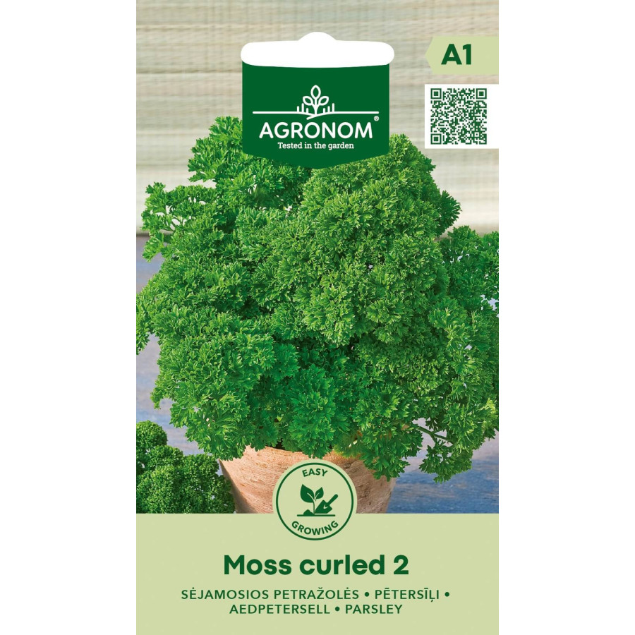 Pētersīļi Moss Curled 2, pētersīļi, pētersīļu sēklas