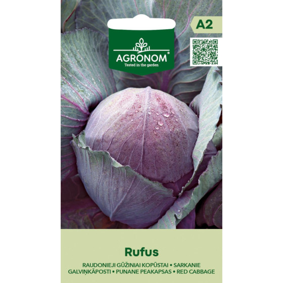 Sarkanie galviņkāposti Rufus , kāposti, kāpostu sēklas, sarkanie kāposti