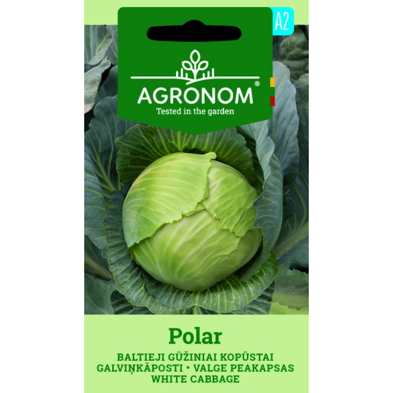 Baltie galviņkāposti Polar, kāposti, kāpostu sēklas