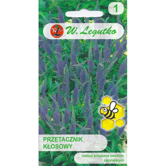 Vārpu veronika, Vārpu veronikas sēklas, Veronikas sēklas, Veronica