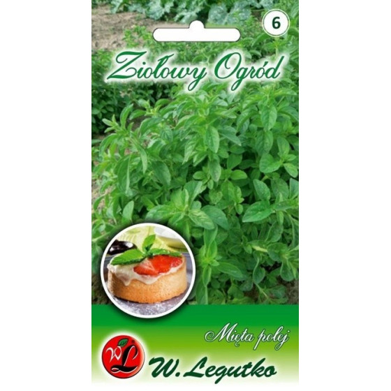 Krūzmētra, paleju mētra, Krūzmētras sēklas, Paleju mētras sēklas