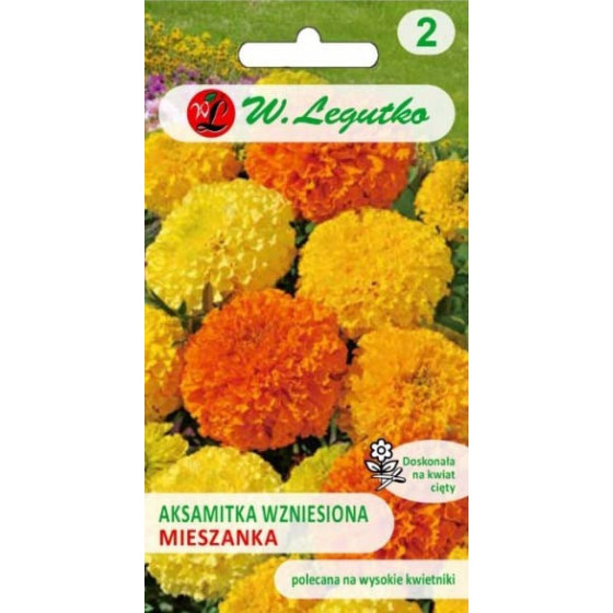 Samtenes augstās Mix, Samtenes, Samteņu sēklas