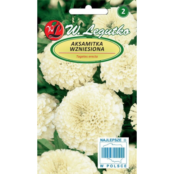 Samtenes creamy-white, Samtenes, Samteņu sēklas, Baltas samtenes