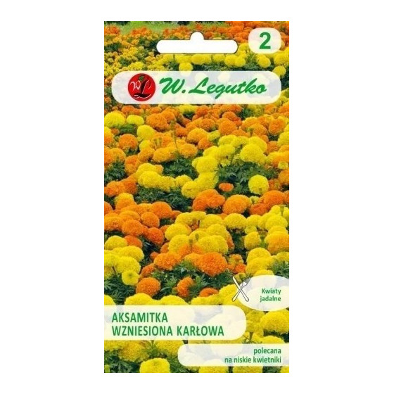 Samtenes lielziedu zemās Mix, Samtenes, Samteņu sēklas