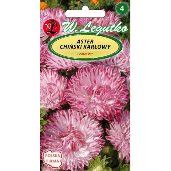 Asteres ķīnas zemās Contraster white&pink, Asteres Contraster