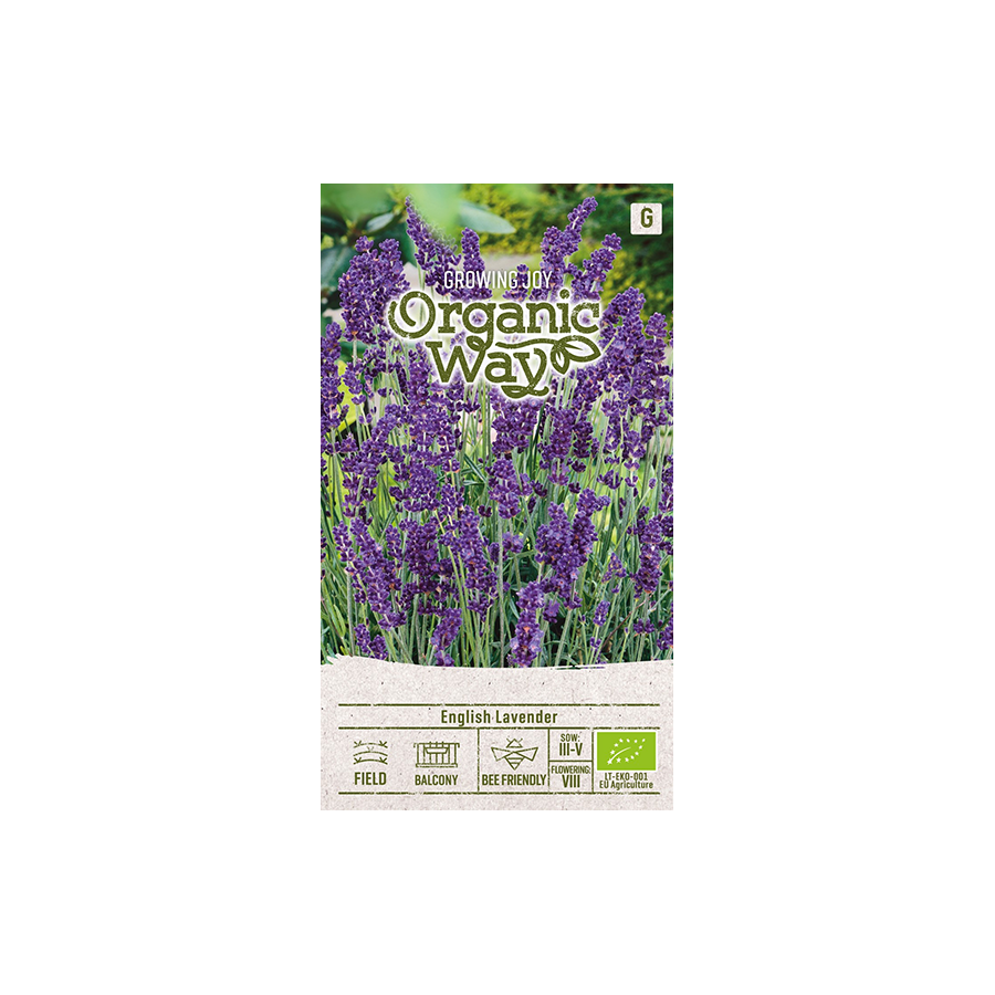 Lavanda, Lavandu sēklas, Lavandas sēklas, Šaurlapu lavanda