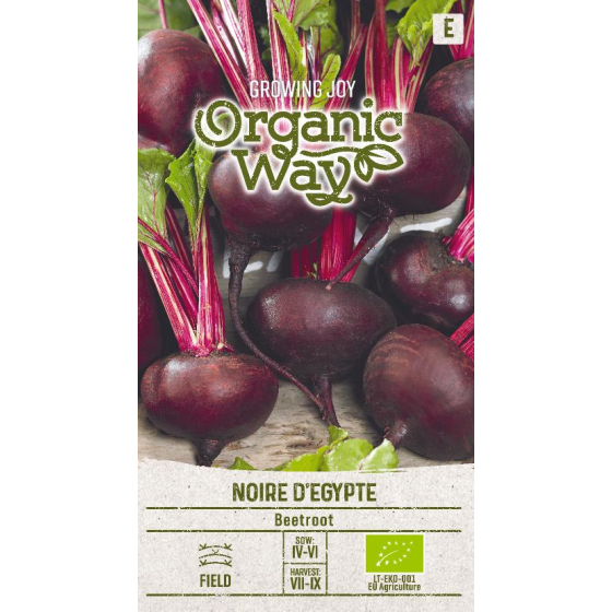 Bietes NOIRE D'EGYPTE, Biešu sēklas NOIRE D'EGYPTE