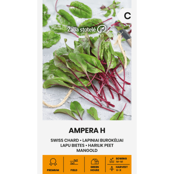 Mangolds (Lapu bietes) AMPERA, Mangolda sēklas, Lapu bietes