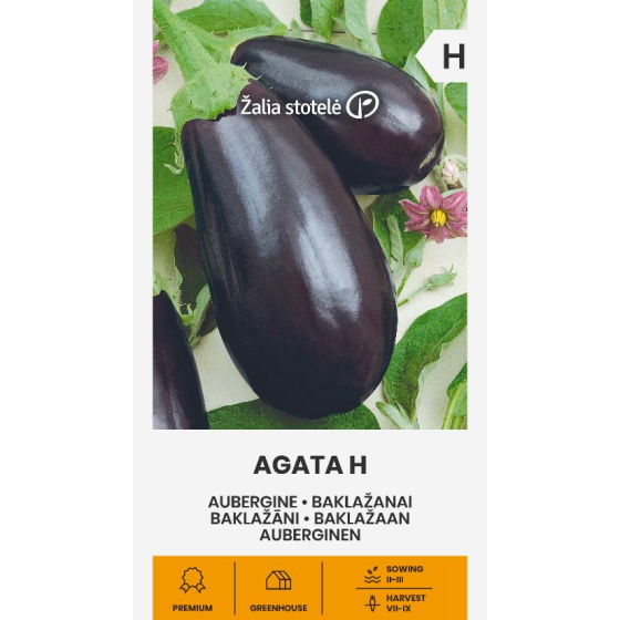 Baklažāni Agata, Baklažānu sēklas Agata, Baklažānu sēklas