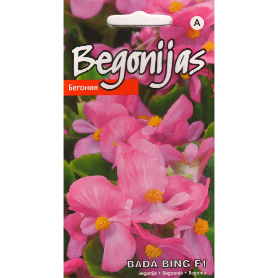 Begoniju sēklas, Ledenītes, ledeņu sēklas, ledenīšu sēklas