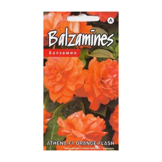 Balzamīnes Athena F1 Orange Flash (5 sēklas)  (KS)*