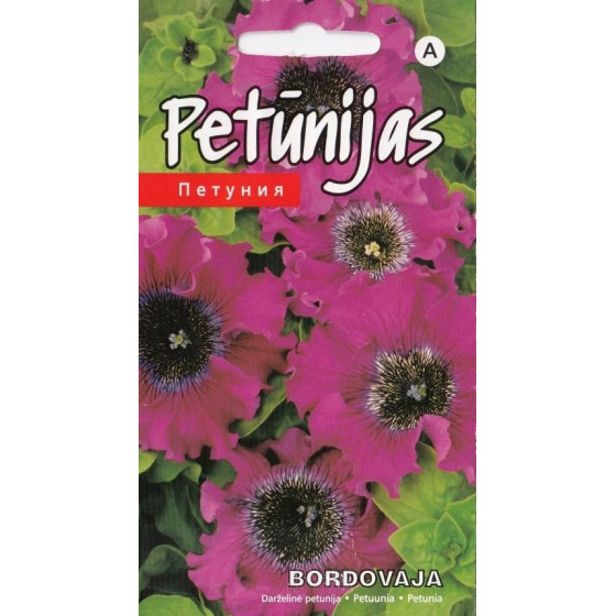 Petūnijas Bordovaja 15s  (KS)*