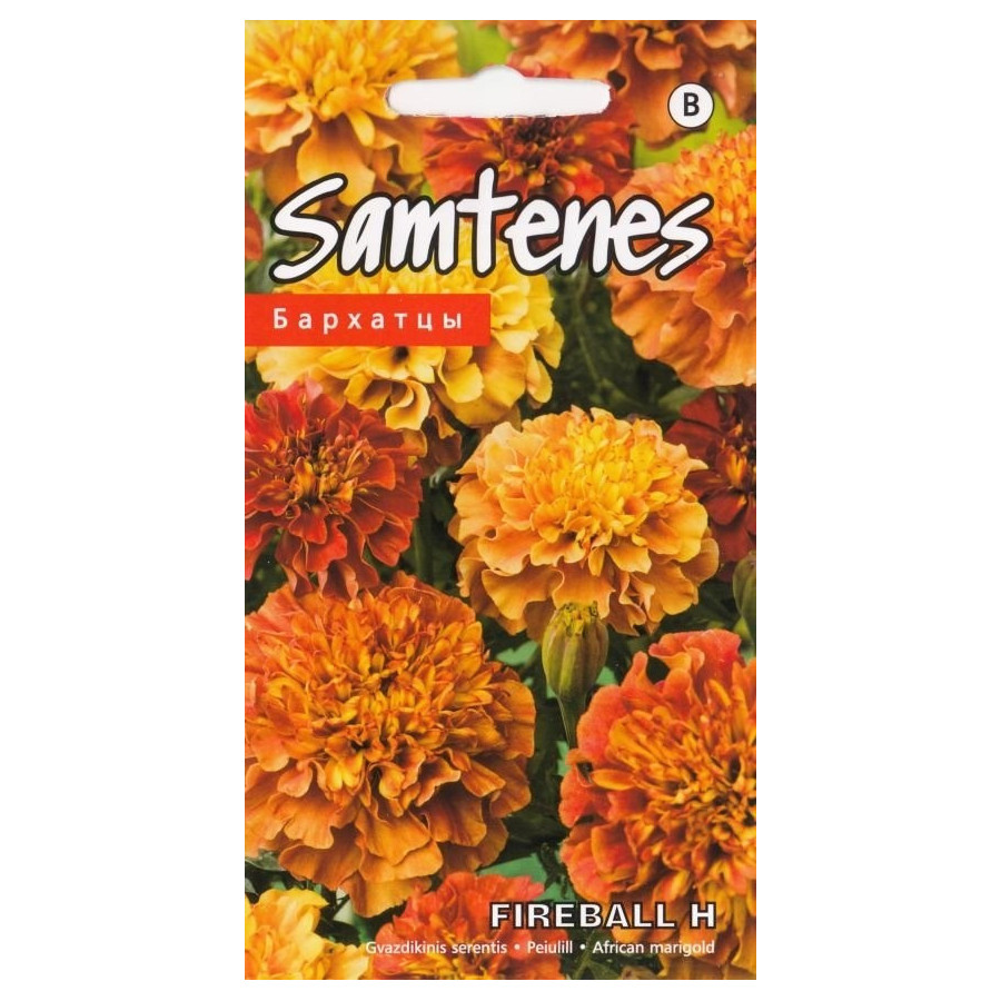 Samtenes Fireball F1 (15 sēkl.) (KS)