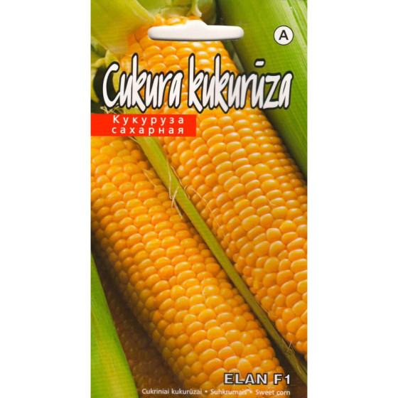 Kukurūza Elan F1 5g (KS)