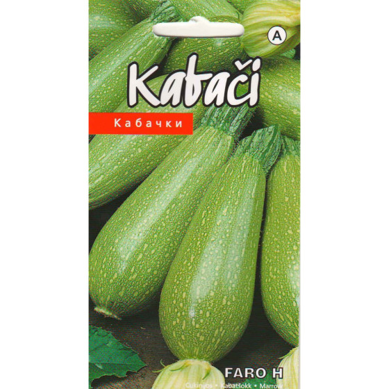 Kabači Faro H 5s (KS)