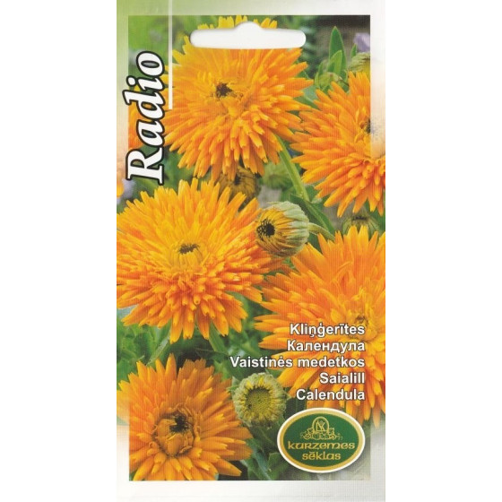 Kliņģerītes Radio, Kliņģerītes, Kliņģerīšu sēklas