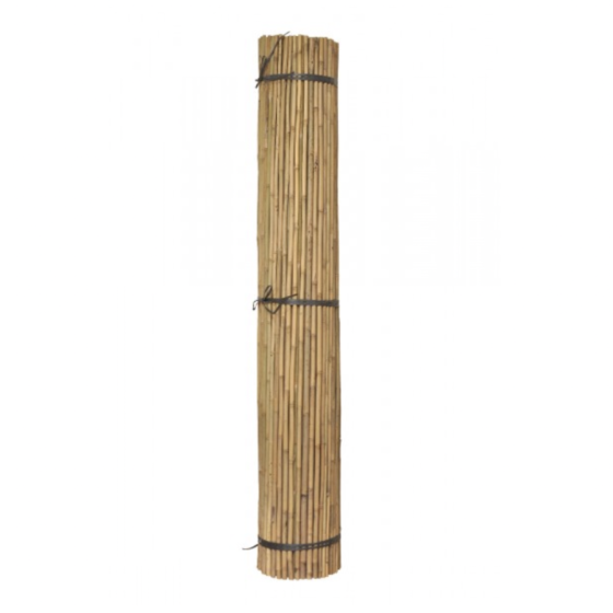 Bambuss 120cm 10/12mm/ 1gb