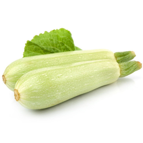 Kabaču sēklas Top Kapi, Kabači Top Kapi, Cukini Top Kapi, Cukini sēklas Top Kapi