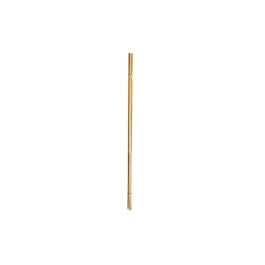 Bambusa kociņi 50 cm 10gb