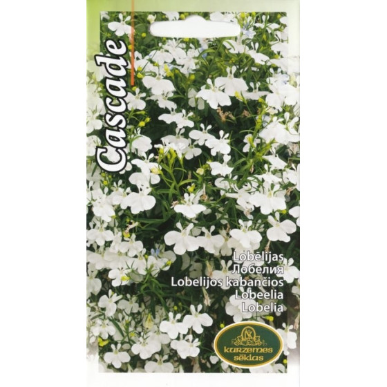 Lobēlijas nokarenas baltas CASCADE, lobēliju sēklas
