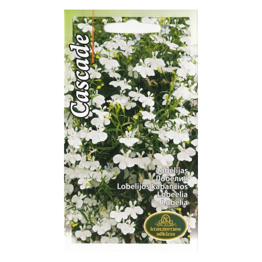 Lobēlijas nokarenas baltas CASCADE, lobēliju sēklas