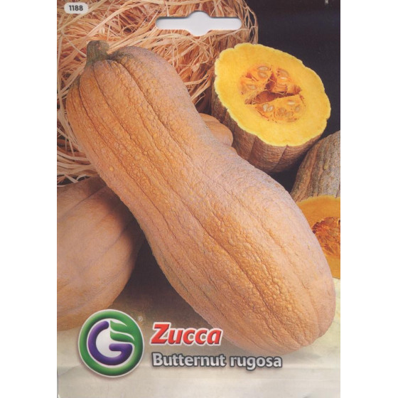 Ķirbis (sviesta) Butternut rugosa 3,5g*