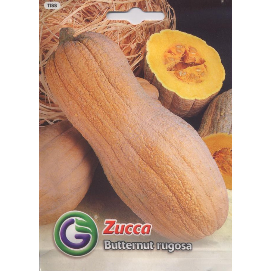 Ķirbis (sviesta) Butternut rugosa 3,5g*