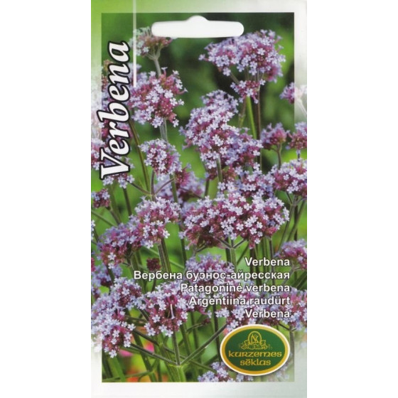 Verbena buenosairesas, Verbenas, Verbenu sēklas