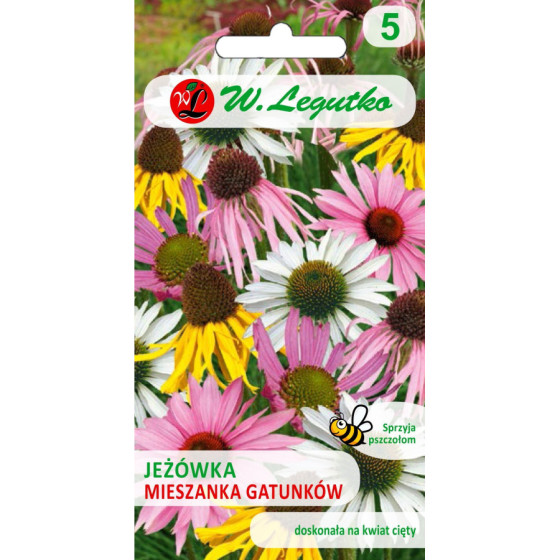 Ehinācijas, Ehināciju sēklas, Echinacea sp. seeds