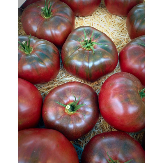 Tomāti Noire de crimee, Tomātu sēklas Noire De Crimee F1