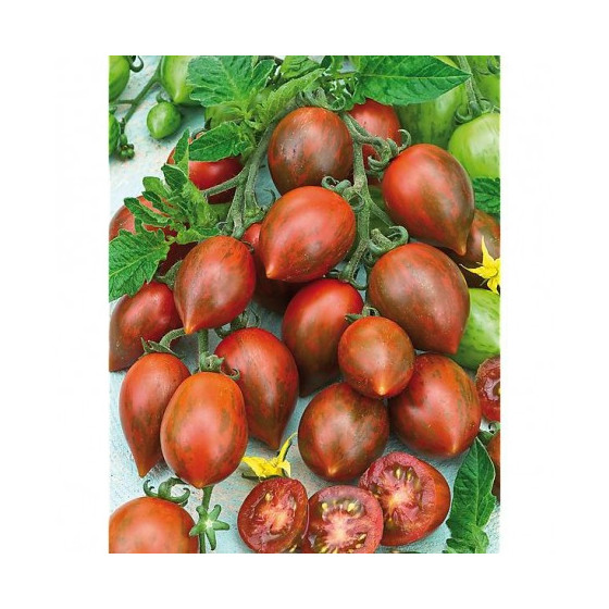 Tomāti Melange F1, Tomāti sēklas Melange F1, Šokolādes tomāti, Čerī tomāti