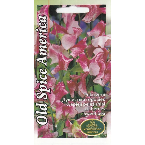 Puķuzirņi Old Spice America 1g (KS)