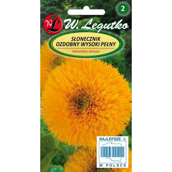 Saulespuķes, saulespuķu sēklas, Helianthus annus