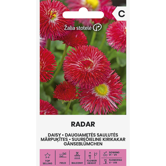 Mārpuķītes RADAR, Mārpuķītes, Mārpuķīšu sēklas, Bellis perennis L.
