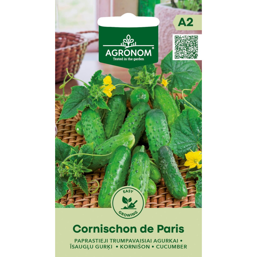 Gurķi CORNICHON DE PARIS H, Gurķi Kornišon, Gurķi Kornishon, Gurķu sēklas Kornišon, Gurķu sēklas Kornishon