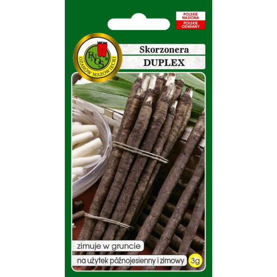 Melnsaknes, Melnsakņu sēklas, Melnsaknes sēklas