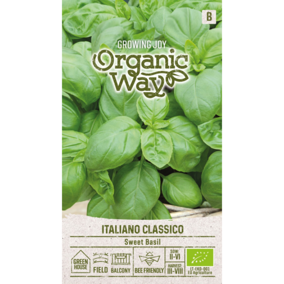 Baziliks ITALIANO CLASSICO, Bazilika sēklas