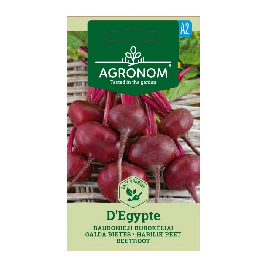 Bietes D'EGYPTE, bietes ēģiptes, ēģiptes bietes