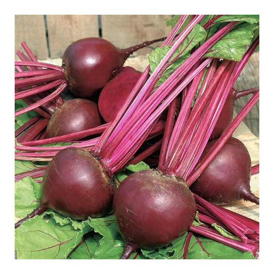 Bietes Pablo, Biešu sēklas Pablo, Pablo f1