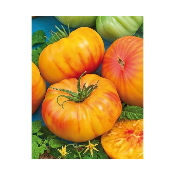 Tomāti Ananas, Tomātu sēklas Ananas, Ananas F1