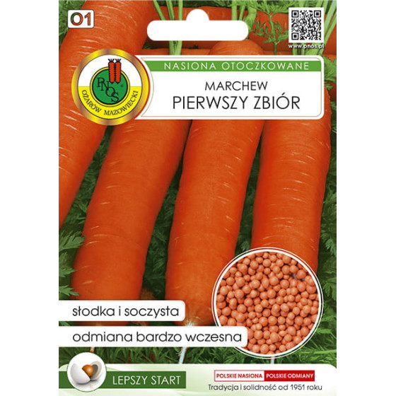 Burkāni Pierwszy Zbior (pirmā raža) 300s (kalibrēti)