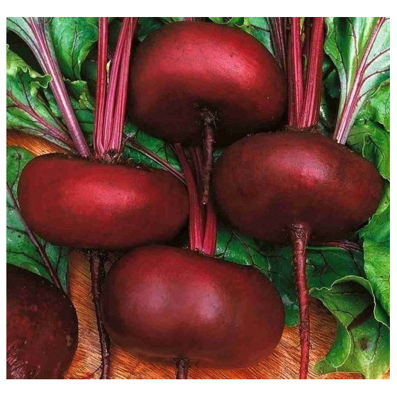Bietes galda D'Egypte 100g