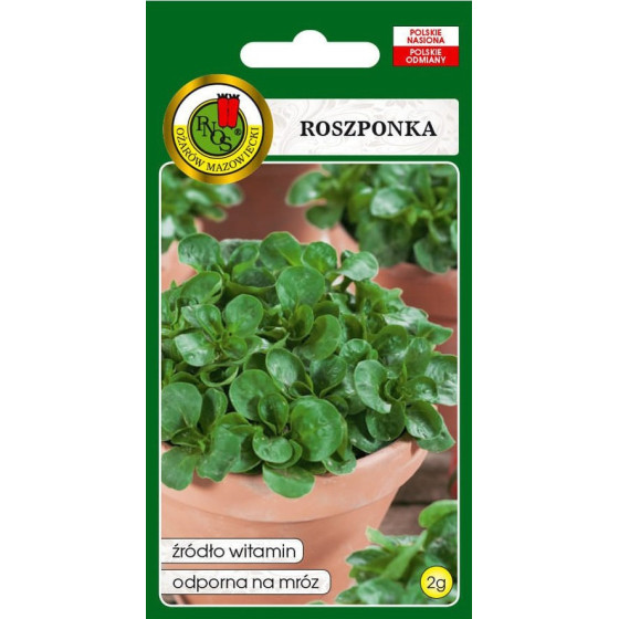 Salātu baldriņš Volhart, Salātu baldriņš, salātu baldriņi