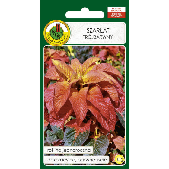 Amarants trejkrāsuMolten Fire, Amaranta sēklas, Amarantu sēklas