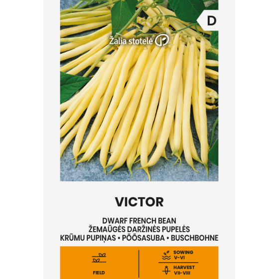 Pupiņas sparģeļu Victor, Sparģelpupiņas, Sparģeļpupiņu sēklas