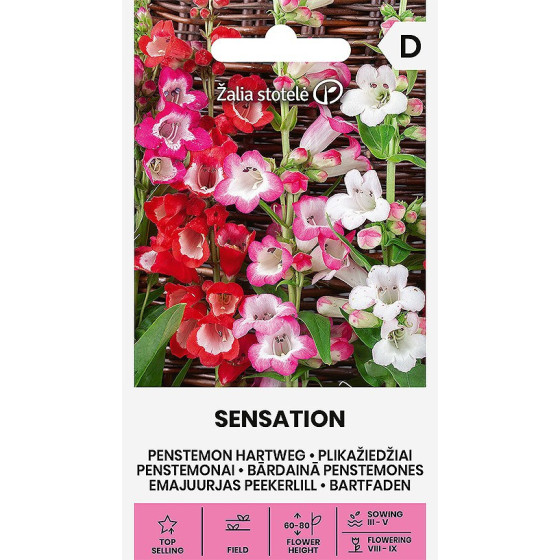 Penstemone Hartvega Sensation 0,2g, Penstemone Sensation 0,2g, Penstemones sēklas