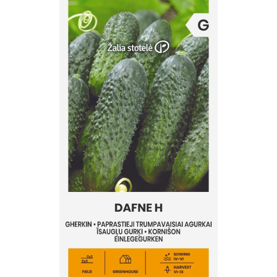 Gurķi DAFNE H, Gurķu sēklas Dafne H