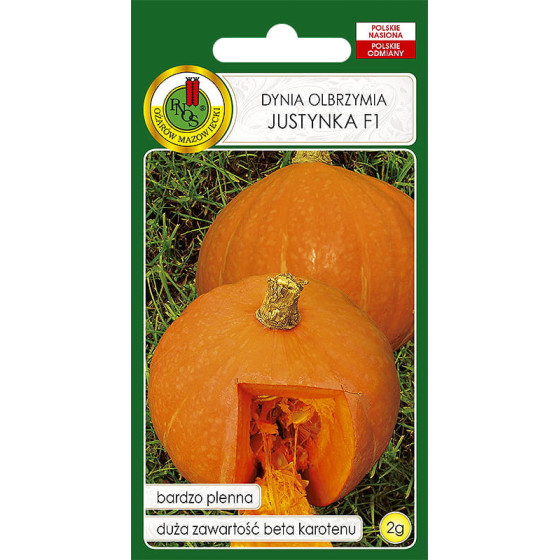 Ķirbis Justynka F1, Ķirbju sēklas Justynka F1