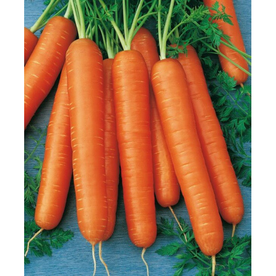 Burkāni Nantes 3 50g