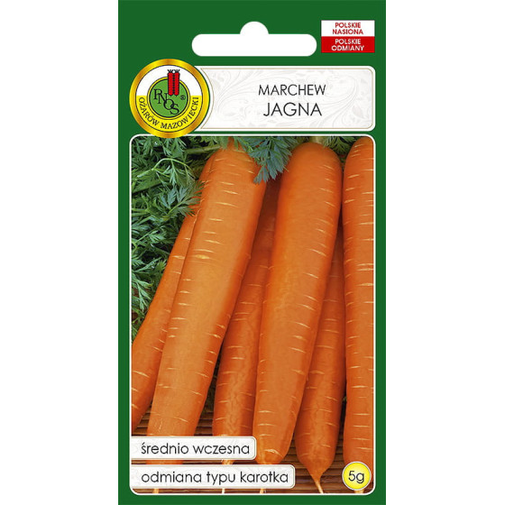 Burkāni Jagna, Burkānu sēklas Jagna